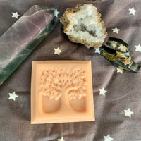 Caramel Apple Cider Tree of Life Soap