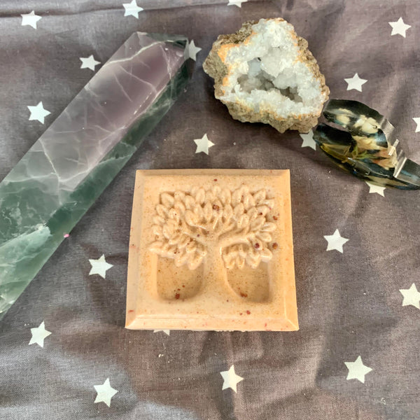 Cider Donut Tree of Life Soap